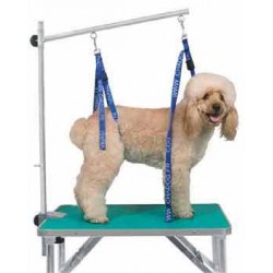 Correa especial abdomen 25 mm.