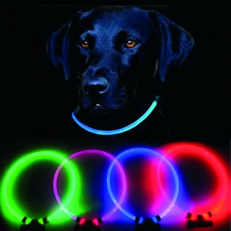 Collar de perro LUMITUBE