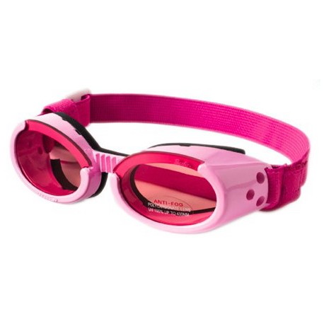 Gafas de sol para perros