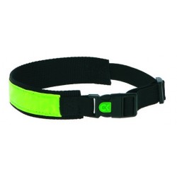 Collar reflectante 36-42 cm.