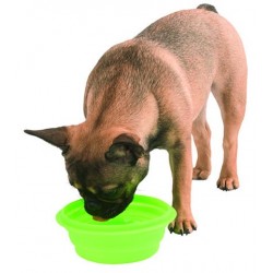 Bebedero /comedero de...