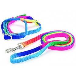 Collar - arnés Rainbow