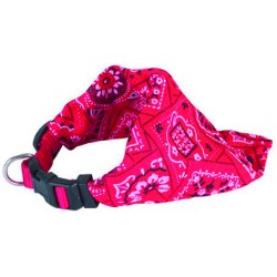 Collar con bandana T2