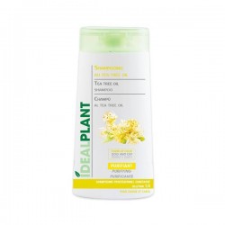 Champú al aceite del árbol de Té
