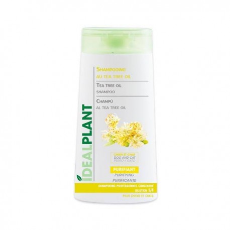 Champú al aceite del árbol de Té