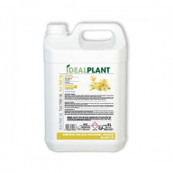 Champú al aceite del árbol de Té