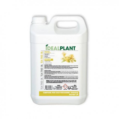 Champú al aceite del árbol de Té