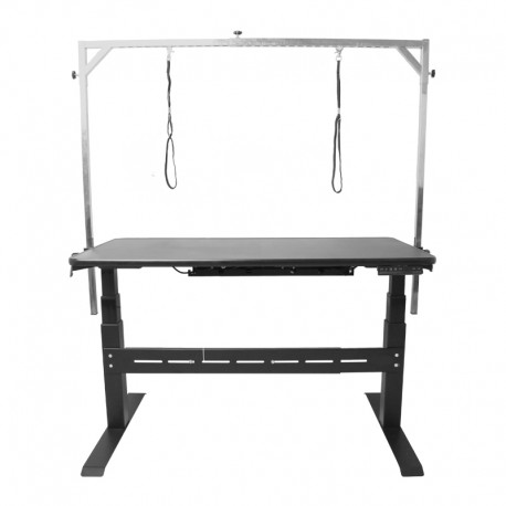 Mesa eléctrica GENESIS TECNO