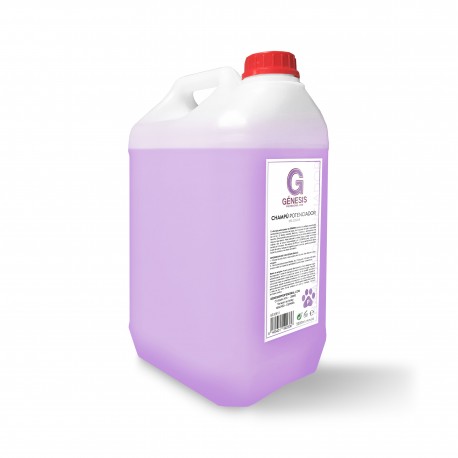 Champú GÉNESIS potenciador de color