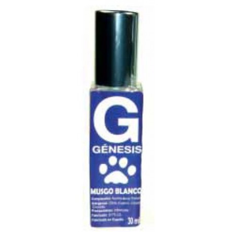 Fragancia Musgo Blanco 30 ml