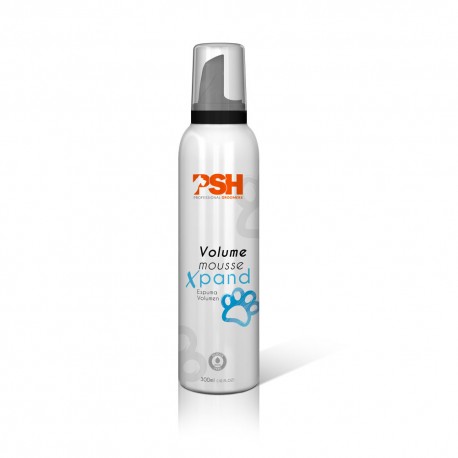 Espuma volumen Xpand 300 ml.