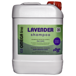 Champú Lavender Nogga