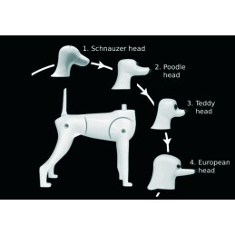 Estructura de perro 4 en 1