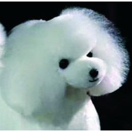 Pelo postizo cabeza Teddy...