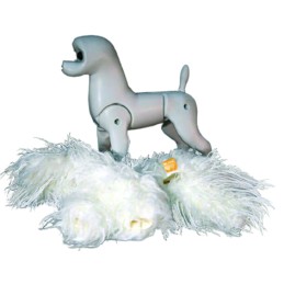 Estructura Bichón Frisé