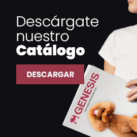 Descargar Catálogo